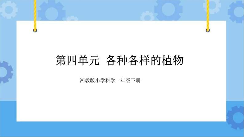 一年级下册科学课件- 第四单元  各种各样的植物 复习课件  湘科版（2017）01