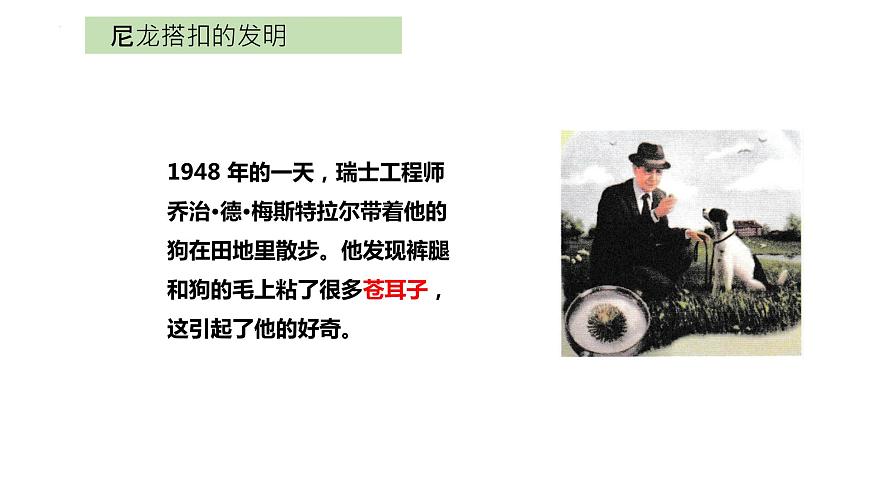 大象版科學五年級下冊5.1 蒼耳的啟示 課件第3頁