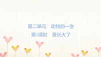 小學(xué)科學(xué)3.蠶長(zhǎng)大了習(xí)題ppt課件