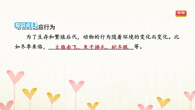 教科版三年级科学下册第2单元第8课时动物的一生习题课件第5页
