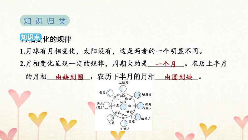 教科版三年级科学下册第3单元第4课时月相变化的规律习题课件03