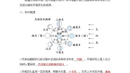 教科版 (2017)三年级下册4.月相变化的规律第4课时学案