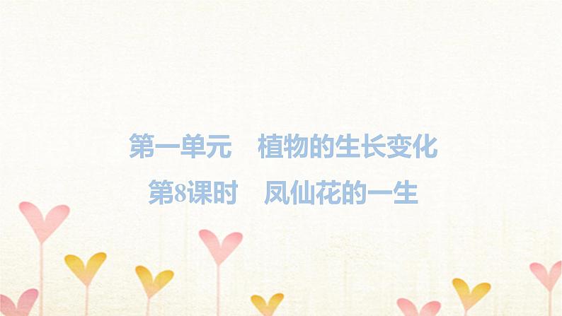 教科版四年级科学下册第1单元第8课时凤仙花的一生习题课件第1页