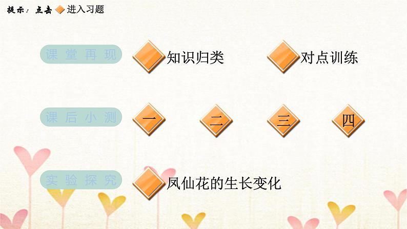 教科版四年级科学下册第1单元第8课时凤仙花的一生习题课件第2页