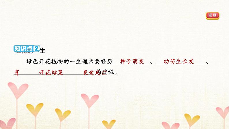 教科版四年级科学下册第1单元第8课时凤仙花的一生习题课件第4页