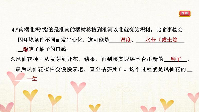 教科版四年级科学下册第1单元第8课时凤仙花的一生习题课件第6页