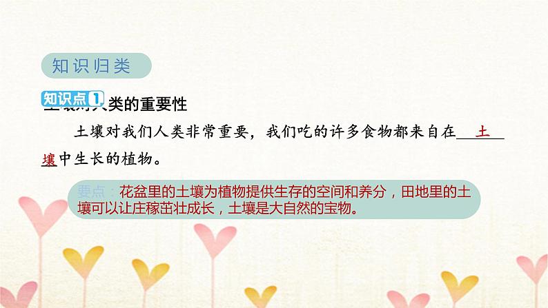 教科版四年级科学下册第3单元第6课时观察土壤习题课件03