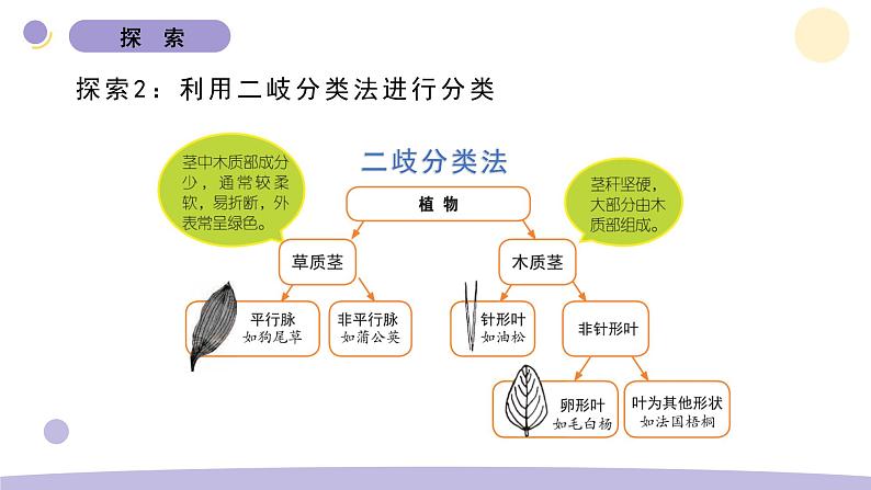 2.制作校园生物分布图第7页