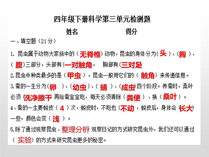 苏教版小学科学四年级下册第三单元检测题答案课件PPT第1页
