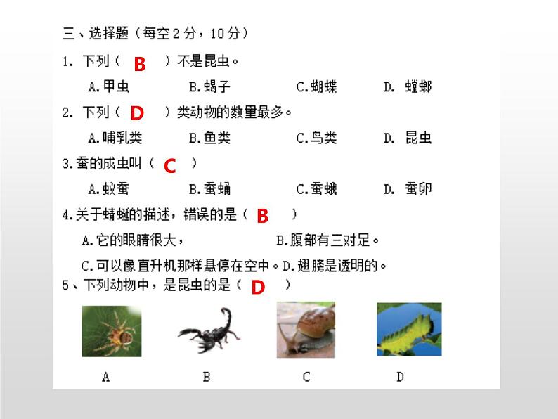 苏教版小学科学四年级下册第三单元检测题答案课件PPT第4页