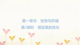 教科版五年级科学下册第1单元第3课时绿豆苗的生长习题课件