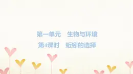 教科版五年级科学下册第1单元第4课时蚯蚓的选择习题课件