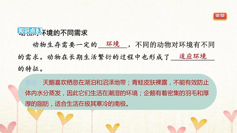 教科版五年级科学下册第1单元第4课时蚯蚓的选择习题课件05
