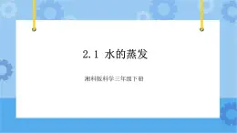 2.1水的蒸发-湘科版科学三年级下册同步课件