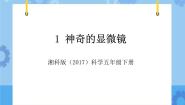 科学五年级下册第一单元 探秘生物体的基本结构1 神奇的显微镜优秀教学ppt课件