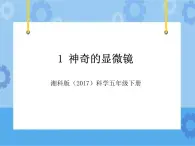 1·神奇的显微镜_湘科版（2017）科学五年级下册教学课件