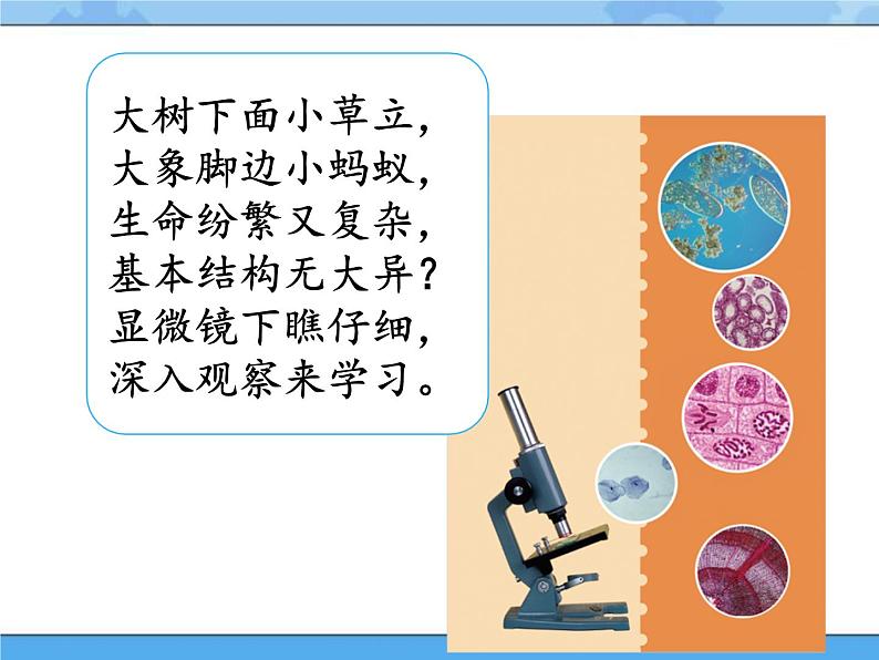 1·神奇的显微镜_湘科版(2017)科学五年级下册教学课件02