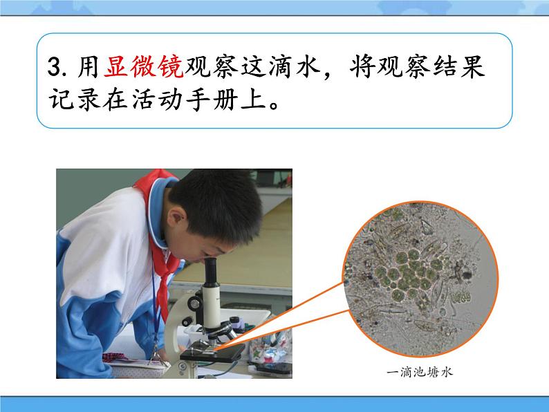 1·神奇的显微镜_湘科版(2017)科学五年级下册教学课件06