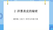 小学科学湘科版 (2017)五年级下册2 洋葱表皮的秘密试讲课教学ppt课件