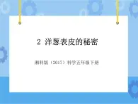 2·洋葱表皮的秘密_湘科版（2017）科学五年级下册教学课件