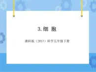 3·细胞_湘科版（2017）科学五年级下册教学课件