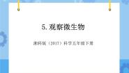 湘科版 (2017)五年级下册2 观察微生物优秀教学课件ppt