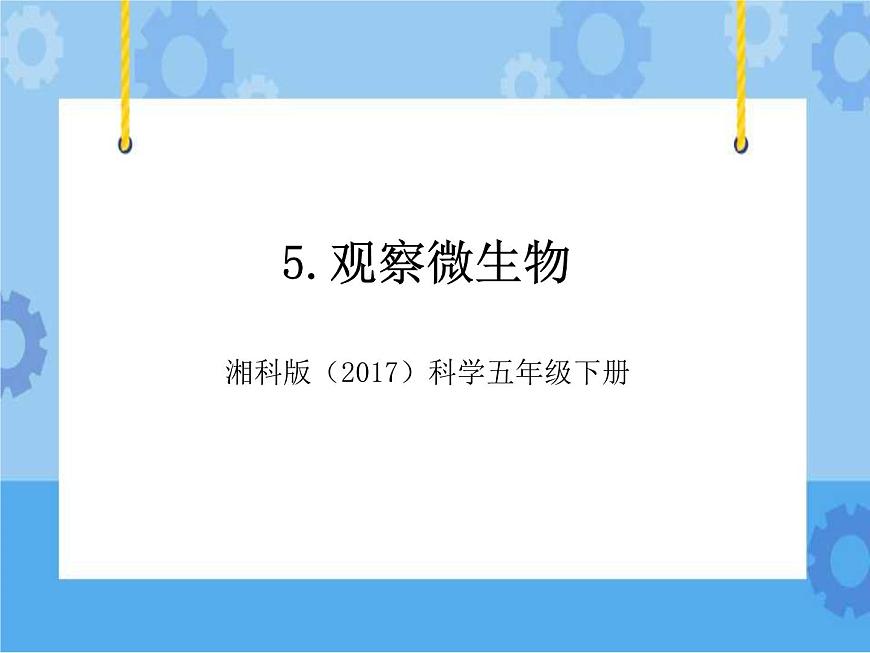 5·觀察微生物_湘科版（2017）科學五年級下冊教學課件第1頁