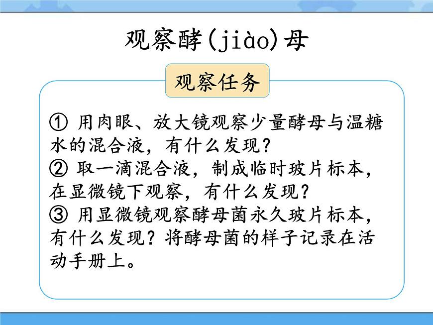 5·觀察微生物_湘科版（2017）科學五年級下冊教學課件第7頁