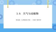 青岛版 (五四制2017)二年级下册9 天气与动植物图文ppt课件
