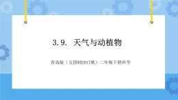 青岛版（五四制2017秋）二年级下册科学3.9.天气与动植物 课件