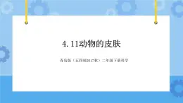 青岛版（五四制2017秋）二年级下册科学4.11动物的皮肤课件