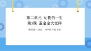 小学湘科版 (2017)3 蚕宝宝大变样优秀课件ppt