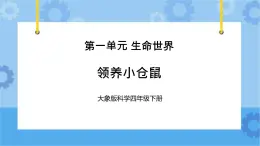 《领养小仓鼠》（课件）四年级下册科学大象版