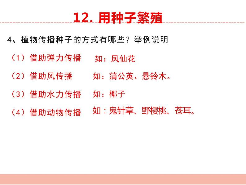 苏教版小学科学四年级下册第四单元【繁殖】复习课件03
