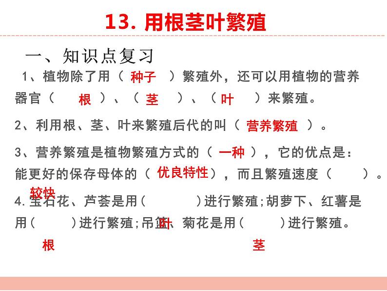 苏教版小学科学四年级下册第四单元【繁殖】复习课件04