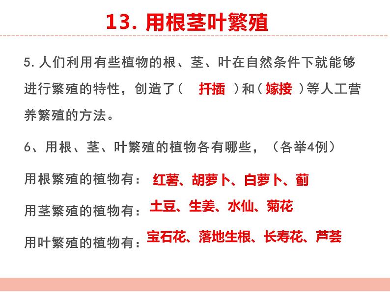苏教版小学科学四年级下册第四单元【繁殖】复习课件05