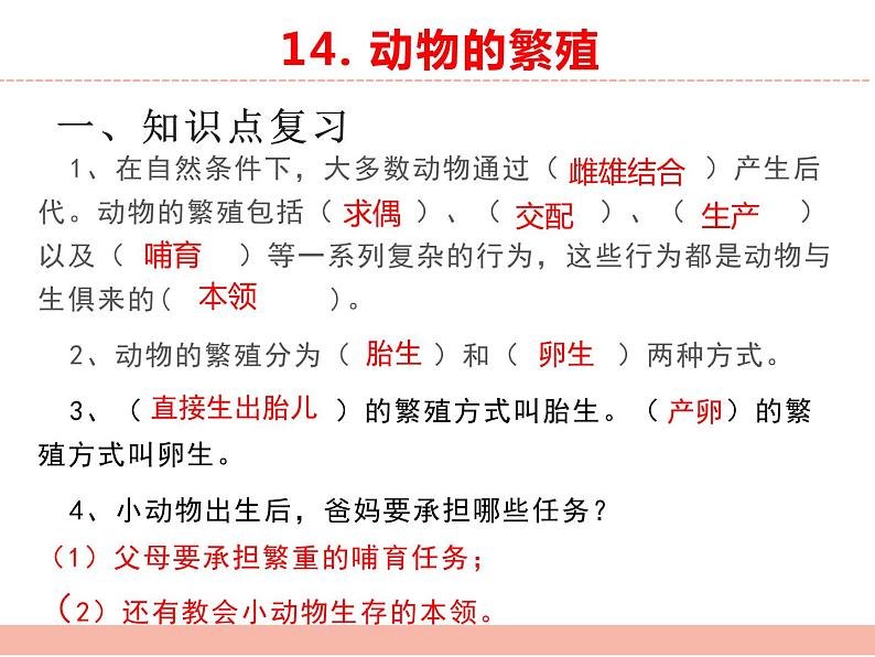 苏教版小学科学四年级下册第四单元【繁殖】复习课件06