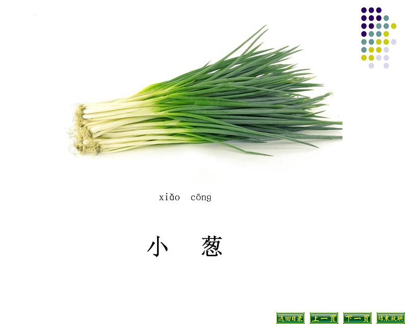 苏教版科学二年级下册 7.栽小葱 课件第3页