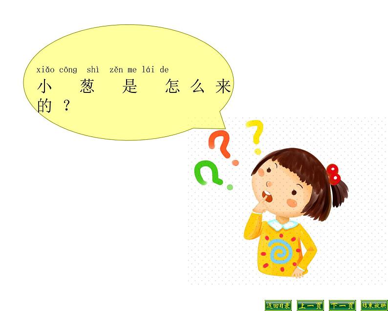 苏教版科学二年级下册 7.栽小葱 课件第4页