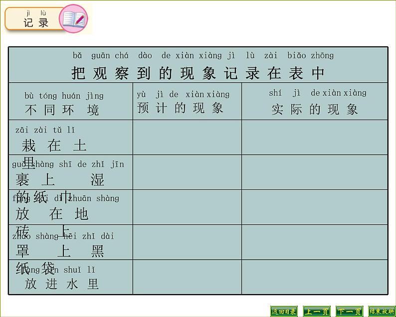 苏教版科学二年级下册 7.栽小葱 课件第7页