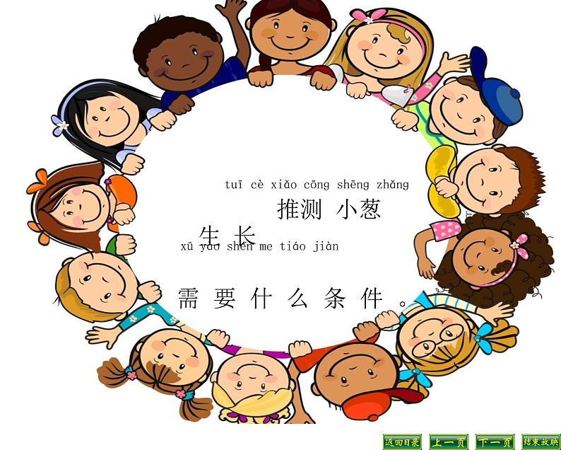 苏教版科学二年级下册 7.栽小葱 课件第8页