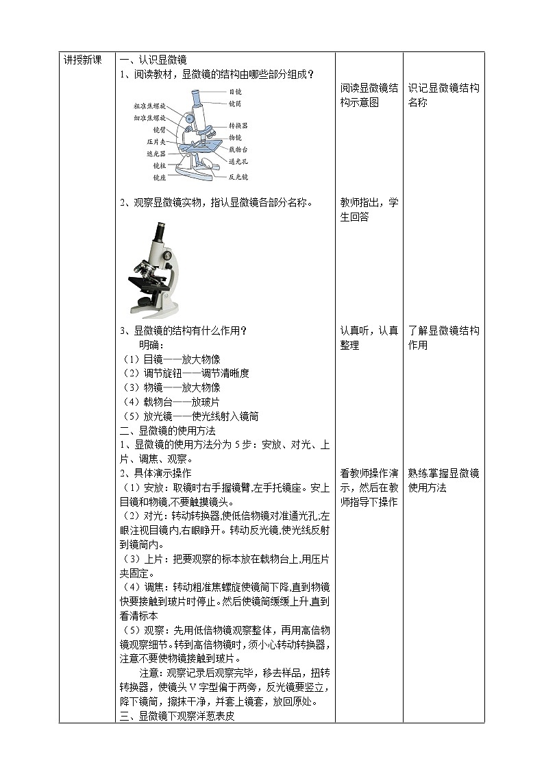 大象版六上科学 1.1《显微镜下的细胞》课件+教案02