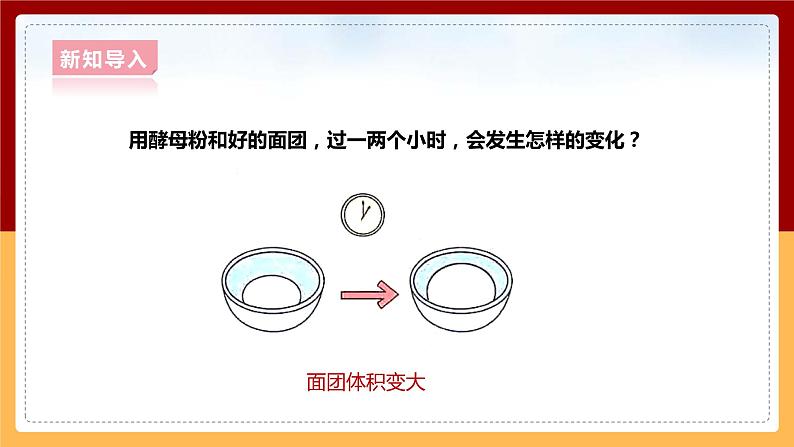 大象版六上科学 1.2《发面的秘密》课件+教案04