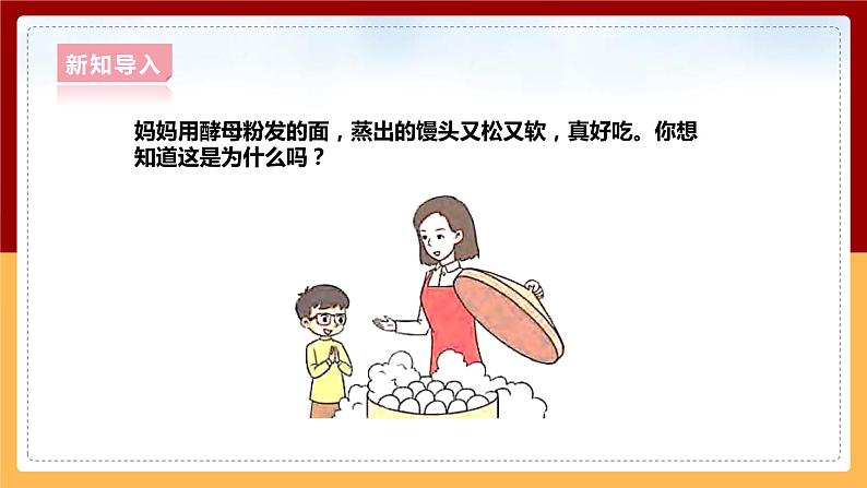 大象版六上科学 1.2《发面的秘密》课件+教案05