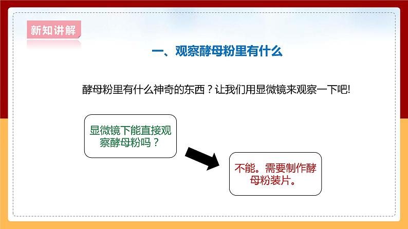 大象版六上科学 1.2《发面的秘密》课件+教案06