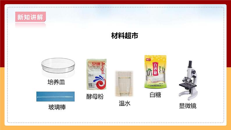 大象版六上科学 1.2《发面的秘密》课件+教案07