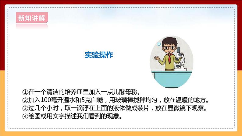 大象版六上科学 1.2《发面的秘密》课件+教案08