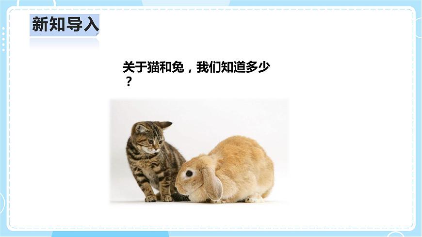 2.5《貓和兔》課件第4頁(yè)