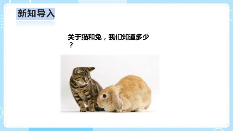 【人教鄂教版】一上科学 2.5《猫和兔》（课件+教案+同步练习）04