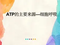 【探究酵母菌的呼吸方式】课例分析第一次展示课件PPT